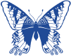 logo mariposa
